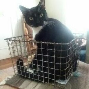 Meet your Posher, Vanessa